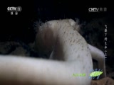 Ȼ 20170814 µ