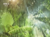 Ȼ 20170823 