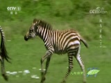 Ȼ 20170901 ͥ