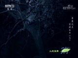 Ȼ 20170904 ԭ֮-