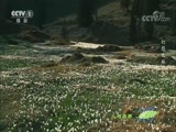 Ȼ 20170918 ֣֮