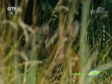 Ȼ 20170919 ֣֮
