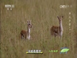 Ȼ 20170619 ʨԣ