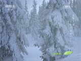 Ȼ 20170712 -