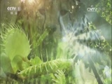 <b>Ȼ 20170725 ˣ</b>