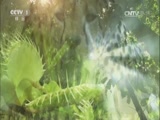 Ȼ 20170806 Ȼս