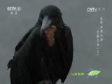 Ȼ 20170807 Ұձ