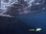 Ȼ 20170313 ̫ƽ-