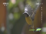 Ȼ 20170501 -