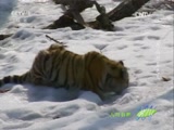 Ȼ 20170321 ֮