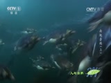 Ȼ 20170407 ϼ죨