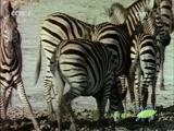 Ȼ 20170410 -