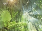 Ȼ 20170124 ̫ƽ-
