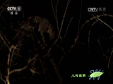 Ȼ 20170213 ʨ֮飨