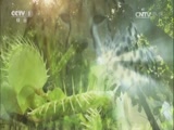 Ȼ 20170224 ӡ۾
