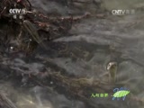 Ȼ 20161116 й-