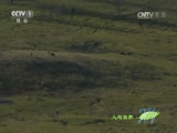 Ȼ 20161024 Ϊ飨