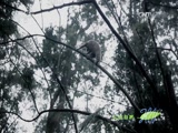 Ȼ 20161031 צС