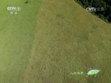 Ȼ 20161109 ʧϿȵ