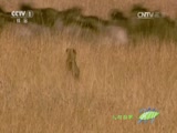 Ȼ 20161126 Խʺ硪