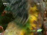 Ȼ 20160620 Ȼ