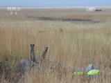 Ȼ 20160623 Աĸף
