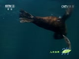 Ȼ 20160701 ޹֮-