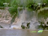 Ȼ 20160707 ʳ