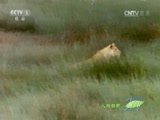 Ȼ 20160711 Ա贫