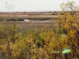 Ȼ 20160801 ı