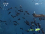Ȼ 20160330 ̫ƽ-