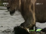 Ȼ 20160514 £
