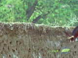 Ȼ 20160518 Ұ-