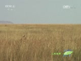 Ȼ 20160524 Աͥ