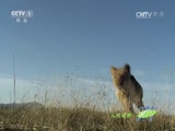 Ȼ 20160526 Խʺ-