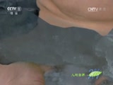 Ȼ 20160609 ﶬ