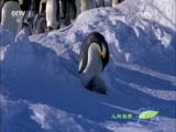 Ȼ 20160102 ̽-