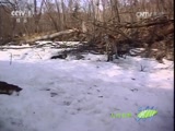 Ȼ 20160119 ֮