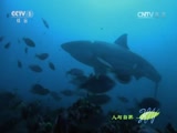 Ȼ 20160127 ʳ⶯-