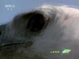 Ȼ 20160229 ʳߵı
