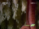 Ȼ 20151124 -