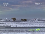 Ȼ 20151125 -