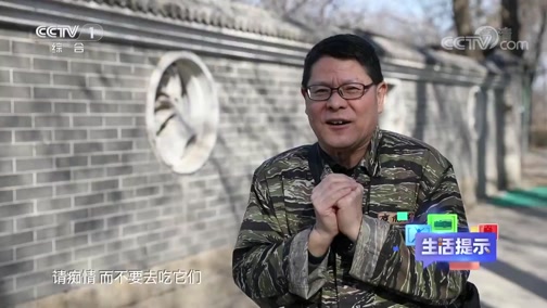 ʾ 20200411 Ǩ 