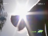 Ȼ20151109 ǵĵ-