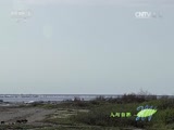 Ȼ20151129 