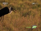 Ȼ 20151205 Խ-