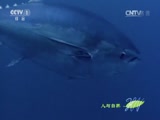 Ȼ 20150806 Ȼ֣