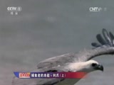 Ȼ20150808 Ȼ 