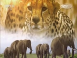 Ȼ20150809 ʳߵı