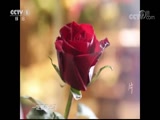 ʾ 20180817 ʻ